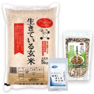 【玄米酵素ごはんセットB】( 玄米酵素ブレンド 500g + 天然塩50g + 生きている玄米 5kg ） 令和7年産 玄…