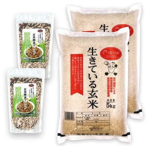 yčyf͂ZbgCz( čyfuh 500g×2 + Ă錺 5kg×2) ߘa6NY  10kg RVqJ I100%YG  L@͔| _ w엿 _sgp L@ 