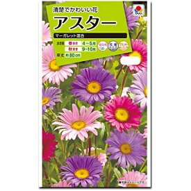 楽天市場 マーガレット 種の通販