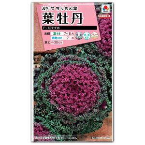 n{^ q ^LCz tOEF1 g ic\{F悻50{) 0.5ml