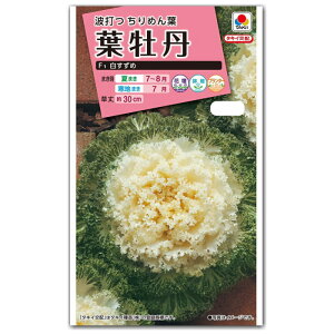 n{^ q ^LCz tOEF1  ic\{F悻50{) 0.5ml