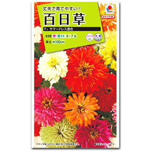 S q F1 T}[hX Mix 2mlic\{F悻30{) Zinnia WjA