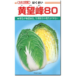 ؁y ]80 zq 1.0ml^nNTC