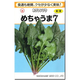『 めちゃうま 7 』 ホウレンソウ 種子 ほうれんそう 法蓮草