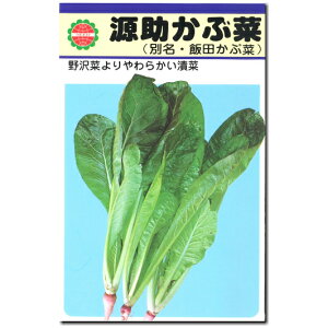 ԍ؁y ԍ zq 20ml`40ml^ѓcԍ
