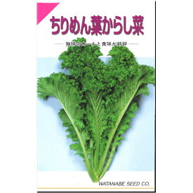 楽天市場 からし菜種の通販