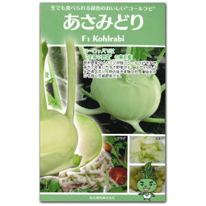 コールラビ【 あさみどり 】コート種子 35粒/かぶ甘藍