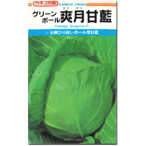 Lxcy u× zq 1.1ml^O[{[