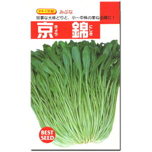 w  LEjVL x ݂Ԃ q 4.5ml p