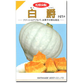 楽天市場 白爵 かぼちゃの通販