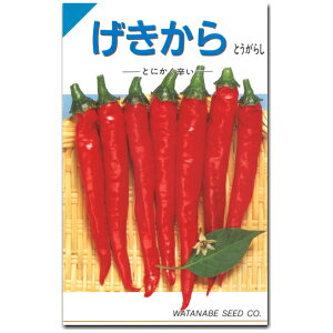 �w �������� �x �h �Ƃ����炵 ��q 1.8ml �g�E�K���V