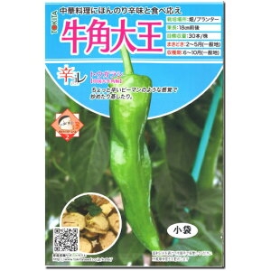 �w ���p�剤 �x �h �Ƃ����炵 ��q 20�� �g�E�K���V �����勍�p���^�C�v �h�R���V���[�Y