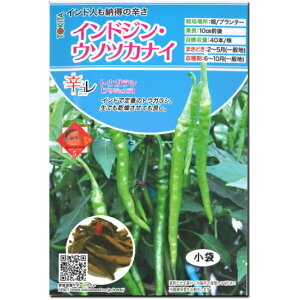 �w �C���h�W���E�E�\�c�J�i�C �x �h �Ƃ����炵 ��q 20�� �g�E�K���V �v�T�W���G�� �h�R�� �V���[�Y