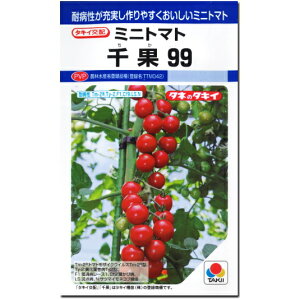 �w ��� 99 �x �~�j�g�}�g ��q 12�� �Ƃ܂�