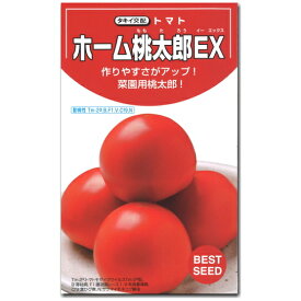 大玉トマト 種子 ホーム桃太郎EX 29粒 とまと