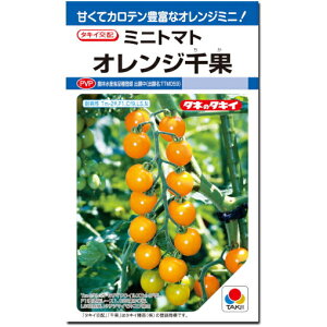 �w �I�����W ��� �x �~�j�g�}�g ��q 16�� �Ƃ܂�