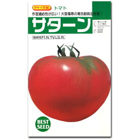 大玉トマト 種子 サターン 45粒 とまと