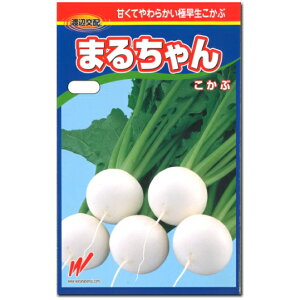 カブ【 まるちゃん 】種子 1000粒/こかぶ