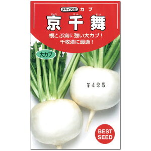 かぶ【 京千舞 】種子 2.2ml/カブ/きょうせんまい