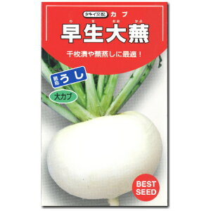 ԁy 啓 zq 3.5ml^킹ԁ^Ju