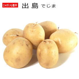 楽天市場 じゃがいも 種芋の通販