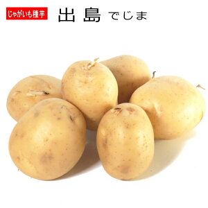 Ⴊ o ł  500g HpWKC L`STCY