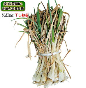 ˂y  zlM 500g