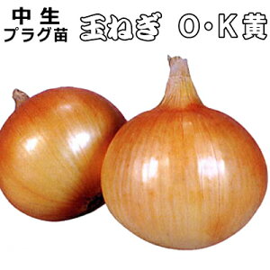  w OK x ܂˂ 90{i100) Zc