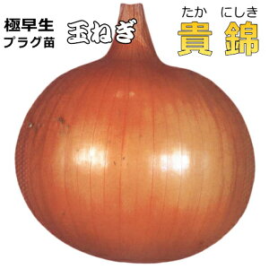 ɑ w  (ɂ) x ܂˂ 90{i100) Zc