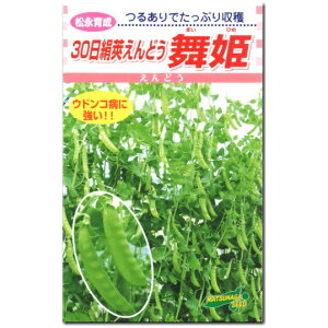 ǂy P zq 20ml`1dl^邠茦GhE