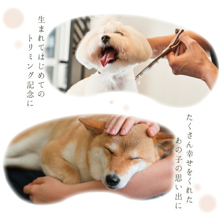 楽天市場 犬 毛 メモリアル ケース 名入れ ワンコの被毛 ヒゲ ケース プレゼント ギフト いぬ イヌ ペット ネコ 猫 かわいい おしゃれ おすすめ 犬好き 愛犬 グッズ 雑貨 桐製 桐箱 木製 日本製 記念 保存 保管 収納 名前入り トリミング 被毛