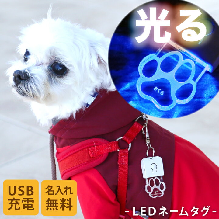 犬 猫 ペット 首輪 ハーネス ライト LED 散歩 キーホルダー 安全 橙