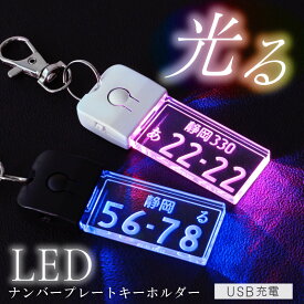 光る ナンバープレート キーホルダー 【 ナンバープレートキーホルダー ・ LED 】誕生日 プレゼント ギフト 記念日 リアル ledライト USB 充電 おしゃれ かっこいい 車 自動車 バイク 彼氏 旦那 男性 父 メンズ 20代 30代 40代 50代 雑貨 翌々営業日出荷