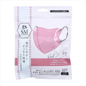  SAI ̃J[}XN sNxO[ ӂTCY 10 X10pbN