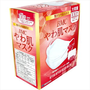 BMC 픧}XN 1g^Cv zCg ߃TCY e 100 X3