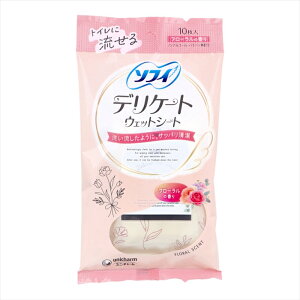 jE`[ \tB gCɗfP[gEFbgV[g mAR[ t[̍ 10 X10pbN