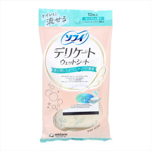 jE`[ \tB gCɗfP[gEFbgV[g mAR[ ̍ 10 X10pbN