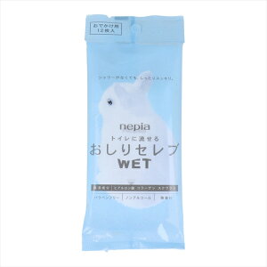 lsA gCɗ ZuWET łp mAR[  12 X20pbN