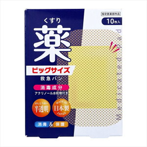 h fK[h ~}o Őt  rbOTCY 10 X10