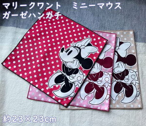 [OKz}[Ng/MARY QUANT ~j[}EX@l@@킢EK[[nJ`@@fB[Xi23×23cmjʕEuhSfCW[EMtgEv[g@zCgf