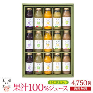 ʎ鐶@ʏ`100W[X15{JMtg@ ʏ`100 ȂЂ_ 