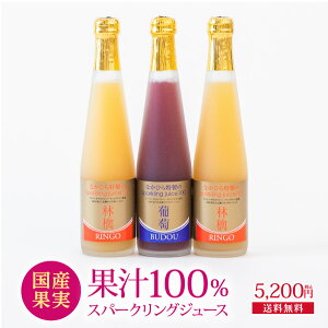 Y_ʏ`100W[X3{Zbg@SP3@@@@ʏ`100 Y_W[X Mtg lߍ킹 v[g 蕨 a j oYj zj Ԃ  @  