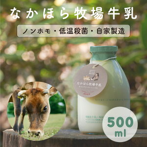 ܎ Ȃقq  500ml Rn_ Yn ቷE OXtFbh q W[W[  r NX}X Ε v[g aj j   ̂t 