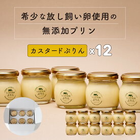 御中元 2025 【TV ザワつく金曜日 で紹介】 プリン カスタードプリン 12個 濃厚 無添加 お菓子 マツコの知らない世界 スイーツ ランキング 内祝 誕生日 熨斗 お取り寄せ 贈り物 贈答 手土産 2024［冷蔵］ nov pu gift