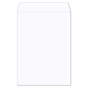 p2   z^ RC100 Pg 100g 100 gȂ R\ kz0223