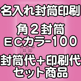 封筒 印刷 角2封筒 ECカラー ハーフトーンカラー 紙厚100 封筒印刷 500枚 【送料無料】