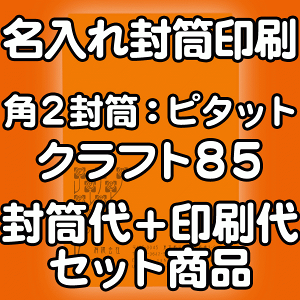 yz  p2 Ntg  85 AhwA/s^bg  10000  IWi fUC f[^eOK ̂܂ܕ If}hEItZbg