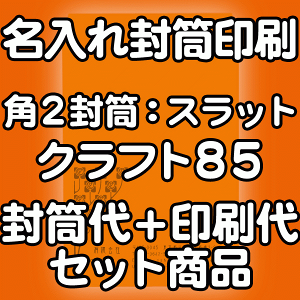 yz  p2 Ntg  85 Еt e[vt  4000  IWi fUC f[^eOK ̂܂ܕ If}hEItZbg