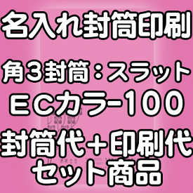 【送料無料】封筒 印刷 角3封筒 ECカラー(ハーフトーンカラー) 紙厚100 口糊付 テープ付 封筒印刷 3000枚 名入れ オリジナル印刷 デザイン無料 データ入稿OK そのまま封筒 オンデマンド・オフセット印刷