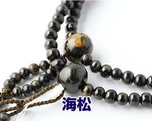 @@ { C  ڊۋ cV[  ˔  @ؗp